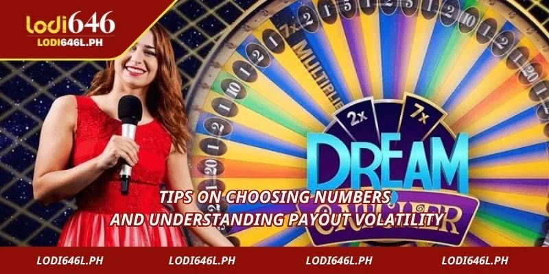 Tips on choosing numbers and understanding payout volatility
