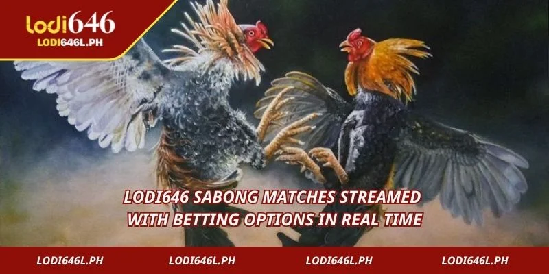 Lodi646 Sabong matches streamed with betting options in real time