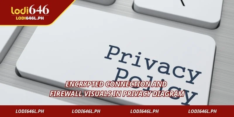 Encrypted connection and firewall visuals in Privacy diagram