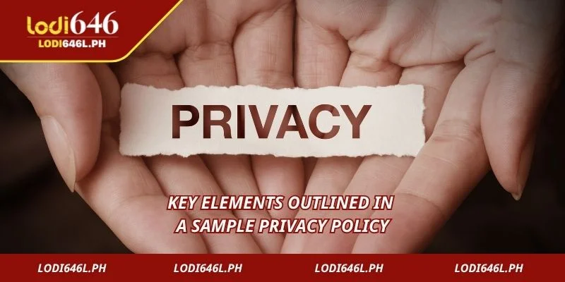 Key elements outlined in a sample privacy policy